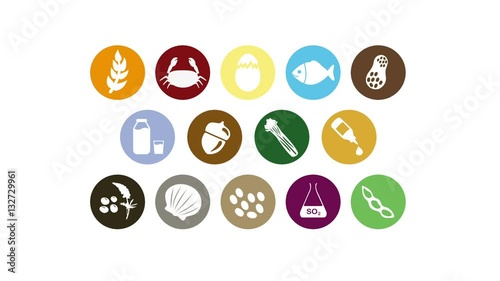 Food allergerns icon set motion graphics animation