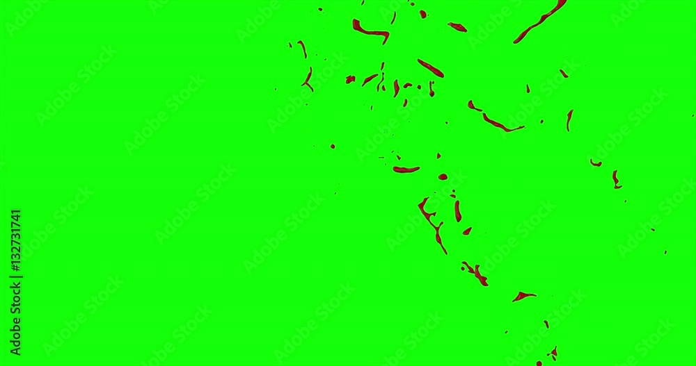 4k Blood Burst Slow Motion (Green Screen) 78 4k Blood Burst Slow Motion (Green Screen) 78