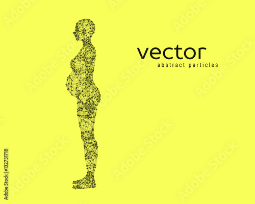 Abstract vector illustration of pregnant woman.