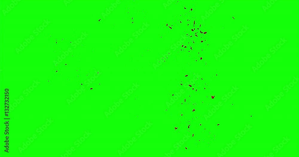 4k Blood Burst Slow Motion (Green Screen) 107 4k Blood Burst Slow Motion (Green Screen) 107