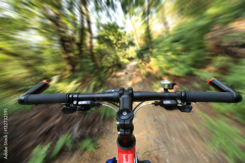 riding mountain bike on forest trial