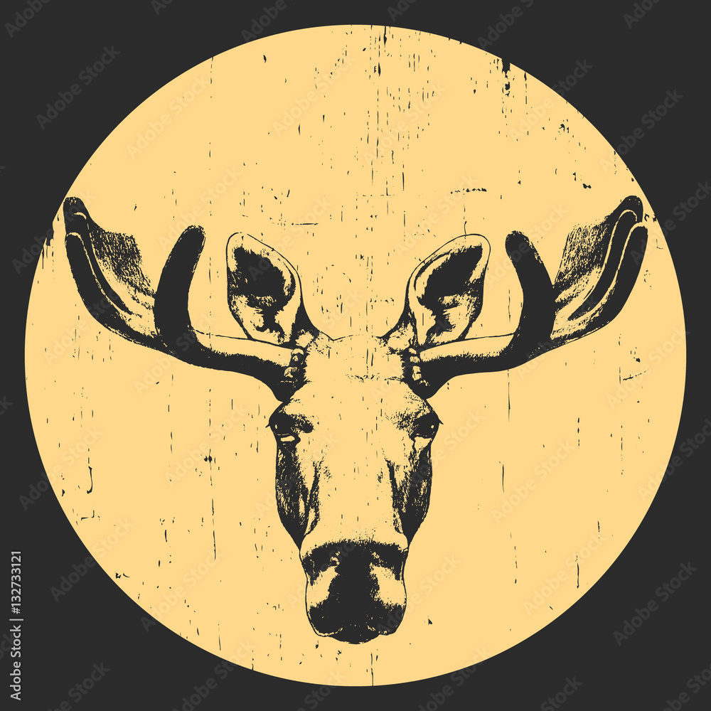 Fototapeta premium Portrait of Moose. Hand drawn illustration. Vector.