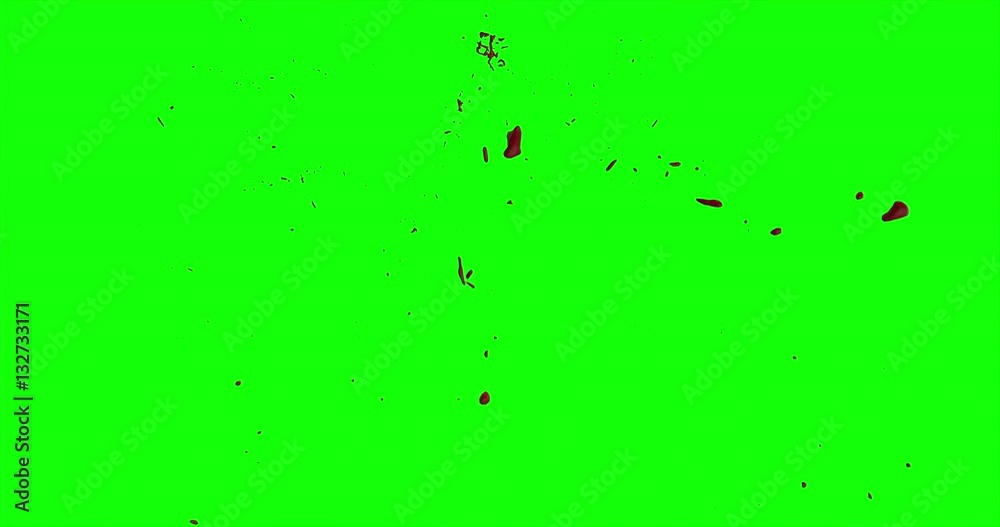 4k Blood Burst Slow Motion (Green Screen) 195 4k Blood Burst Slow Motion (Green Screen) 195
