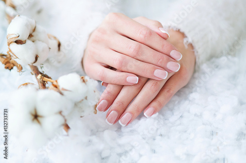 Woman hands with beautiful French manicure holding delicate white cotton flower