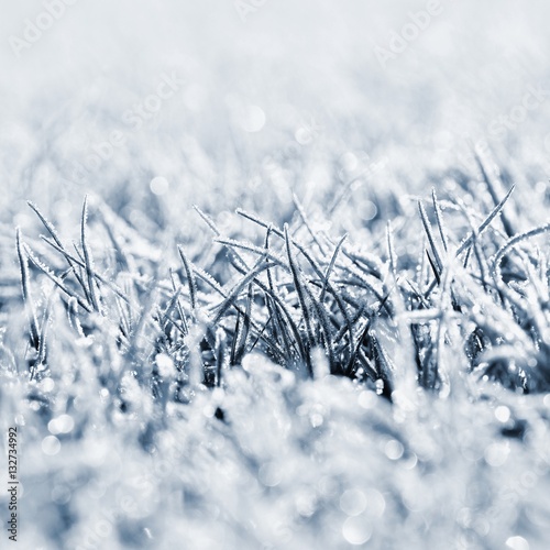 Frost on blade of grass. Beautiful winter seasonal natural background.