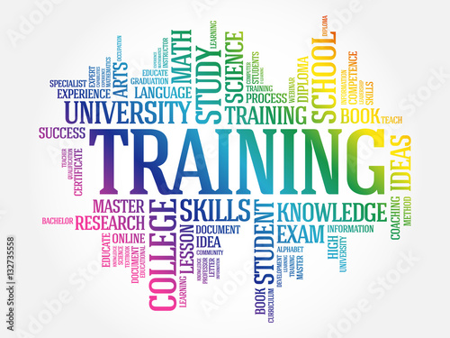 TRAINING word cloud collage, education concept background