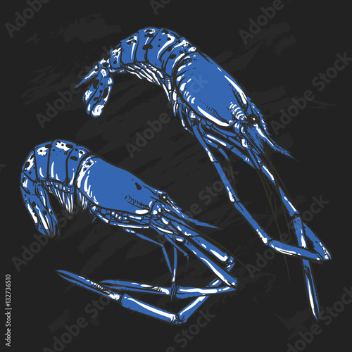 Vector illustration of a Shrimp set drawing on a black backgroun