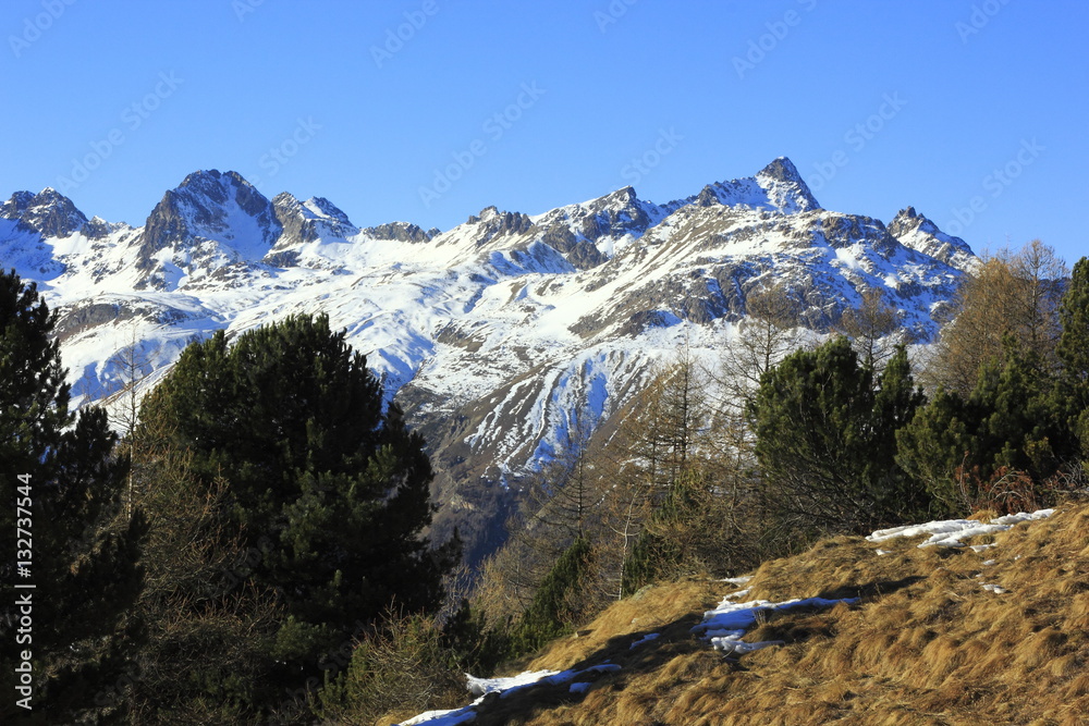 Berge oberhalb Celerina, Blick vom Unteren Schafberg