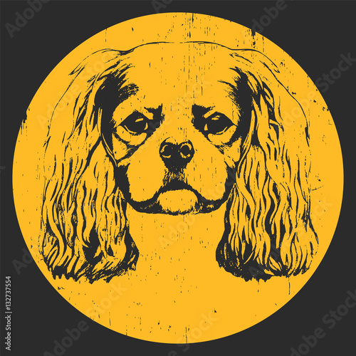 Portrait of Cavalier King Charles Spaniel. Hand drawn illustration. Vector
