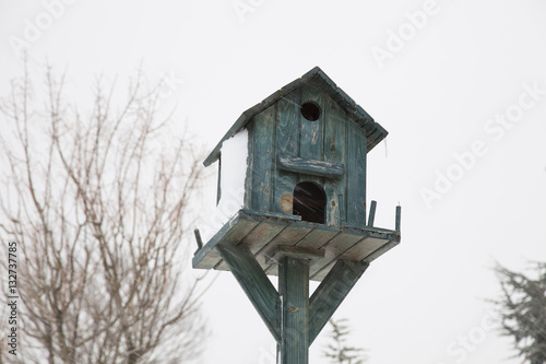 Snow and birdhouse