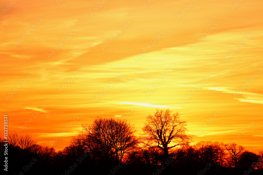 Sunset Sunset