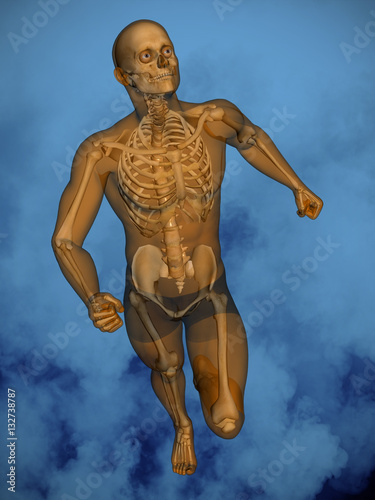 Human skeleton M-SK-POSE M4ay-05-2-tr50, 3D Model
