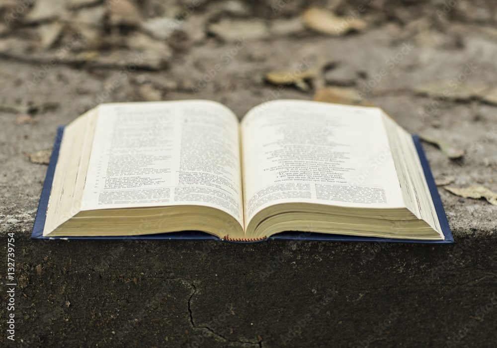 Obraz premium The holy Bible