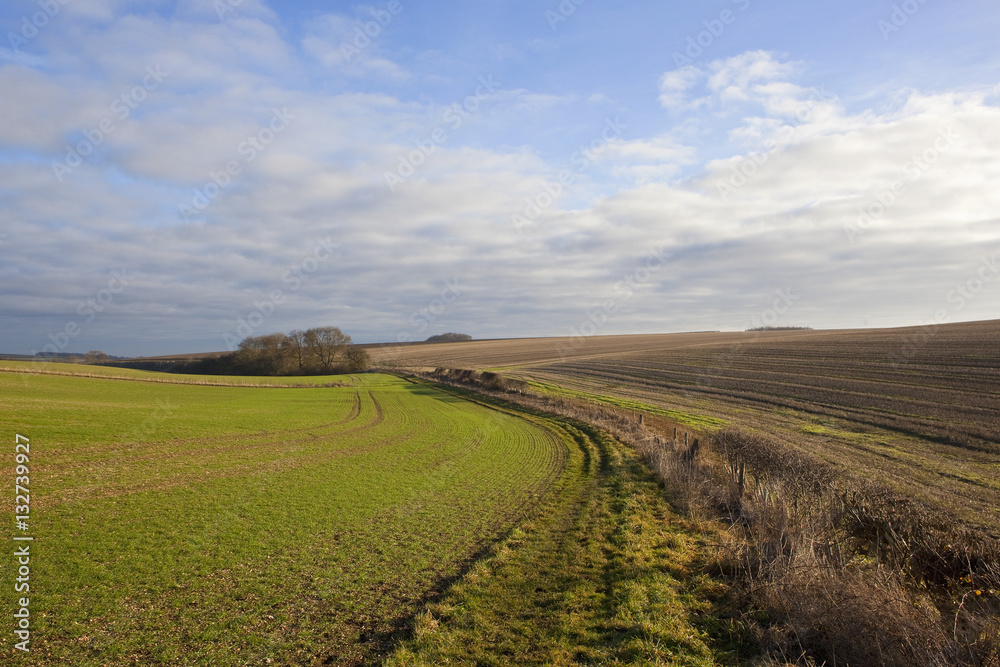 country walking in winter