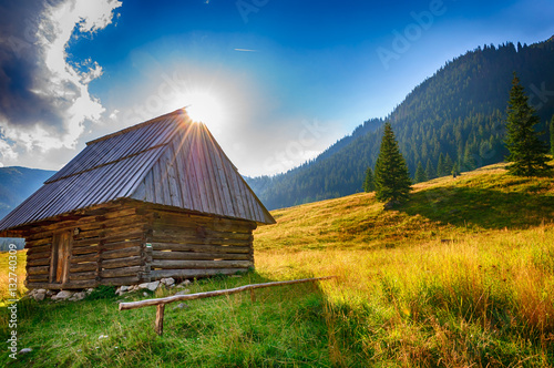 Valley - Tatra Mountains, Dolina Chochołowska