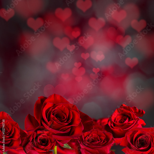 Valentine red rose abstract background.