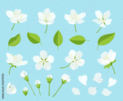 Set of beautiful cherry tree flowers isolated on wite background. Collection of pink sakura or apple blossom, japanese cherry tree. Floral spring design elements.Cartoon style vector illustration