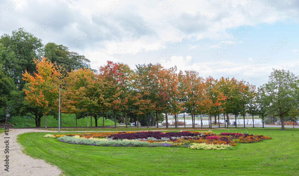 Flower garden with autumn trees landscape, The Netherlands