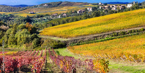 Beautiful Tuscany countryside -  wineyards in Chianti region, Italy photo