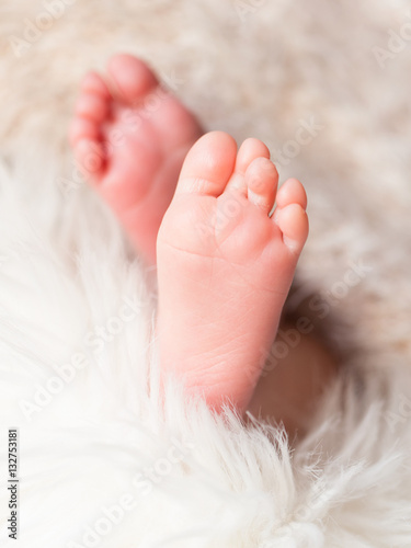 baby feet in warm blanket photo