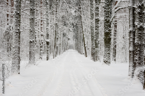 car tire tracks on winter road