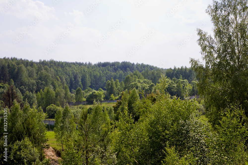 Лес Лес