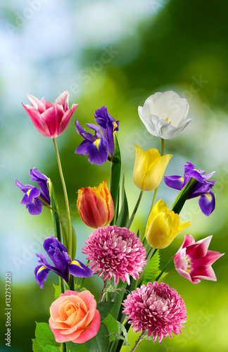 Beautiful bouquet of different flowers on a blurred background © cooperr