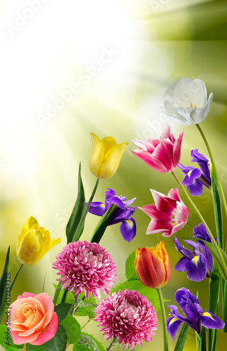 Beautiful bouquet of different flowers on a blurred background