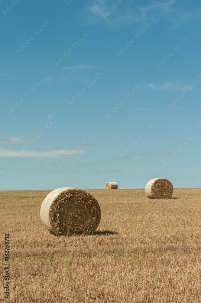 Hay and Sky