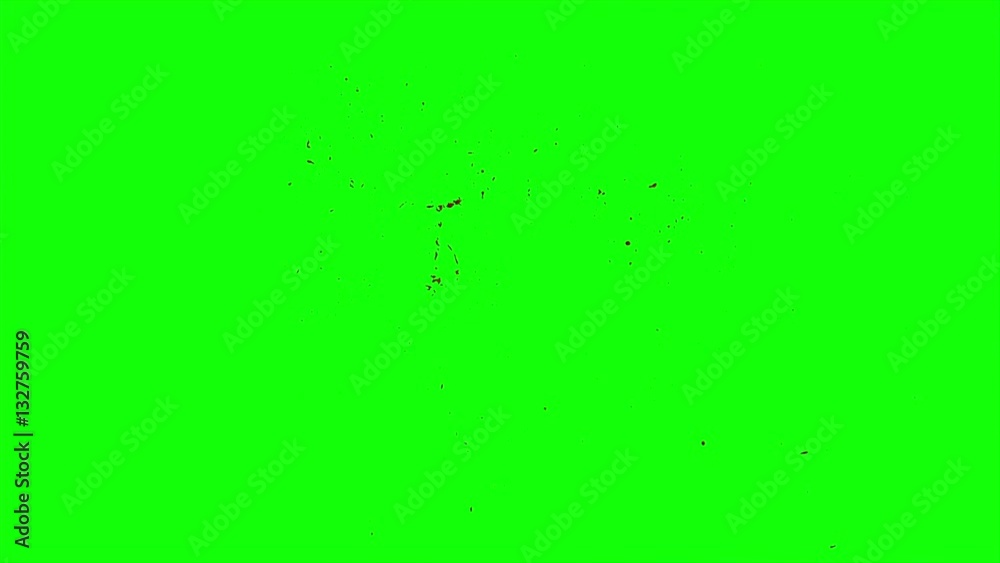 Hd Blood Burst Slow Motion (Green Screen) 62 Hd Blood Burst Slow Motion (Green Screen) 62