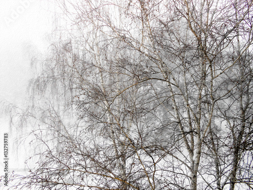  Winter landscape in gloomy snowfall day. Photo manipulation