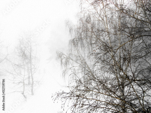  Winter landscape in gloomy snowfall day. Photo manipulation