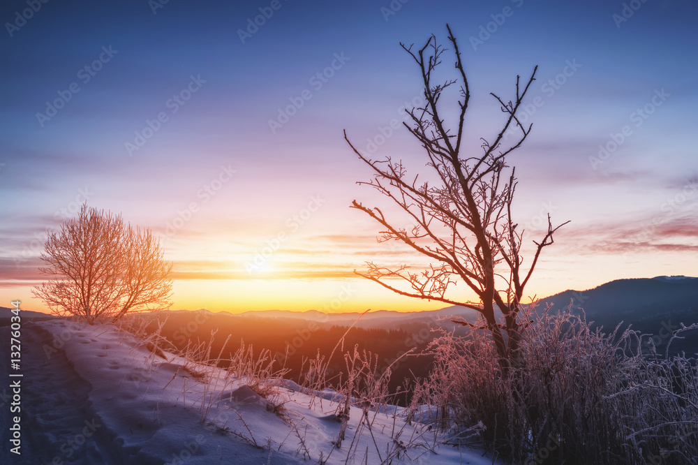 rural road covered with snow and frosted trees. beautiful winter landscape rural road covered with snow and frosted trees. beautiful winter landscape