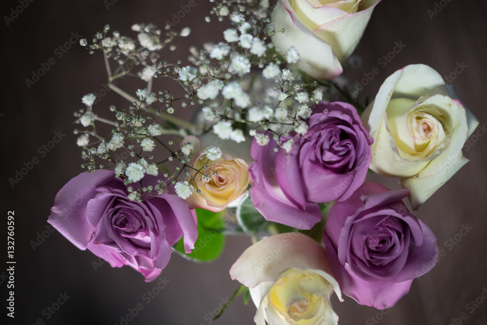 rose