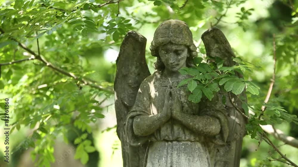 Angel gravestone in a cemetery Angel gravestone in a cemetery