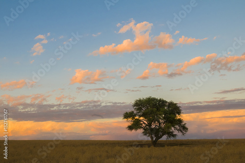 Pampas Landscape, La Pampa, Argentina