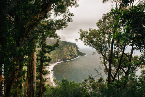 Waipio Valley Cliff lookout in Hawaii photo