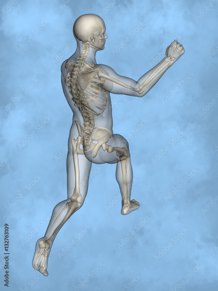 Human skeleton M-SK-POSE M4ay-24-tr50-7, 3D Model