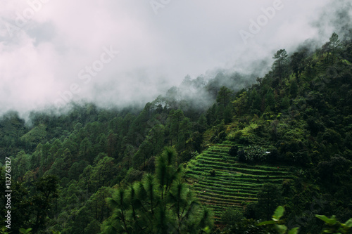 Green Hill with Cloudy fog