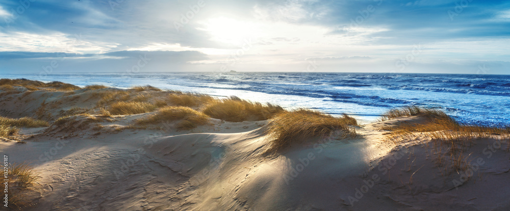 Fototapeta premium Duńskie wybrzeże Morza Północnego