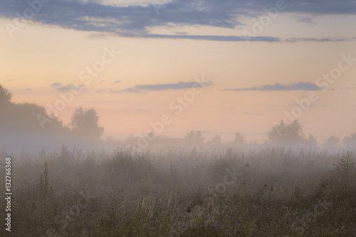 Nebel Landschaft Norddeutschland Heide