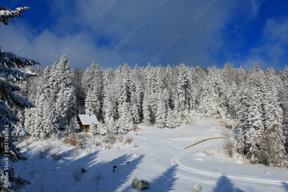 Fototapeta premium Sunny Day After Fresh Snowfall in Mountains