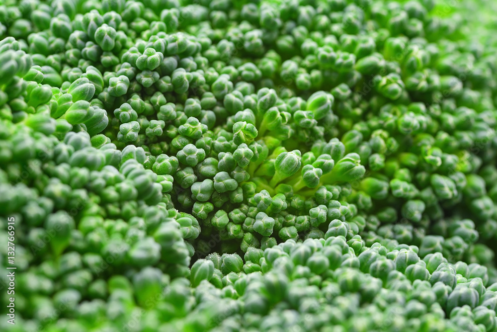 Green Broccoli Texture Close-up Green Broccoli Texture Close-up