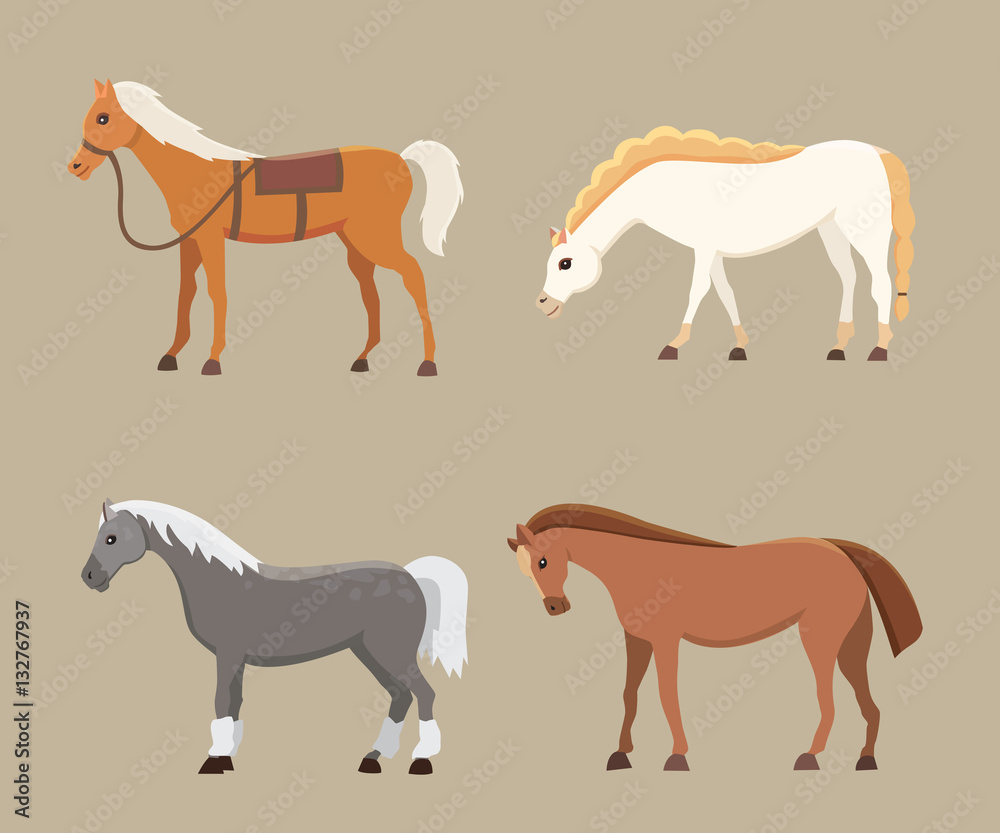 Cute horses in various poses vector design. Cartoon farm wild isolated horse and different silhouette of flat pony