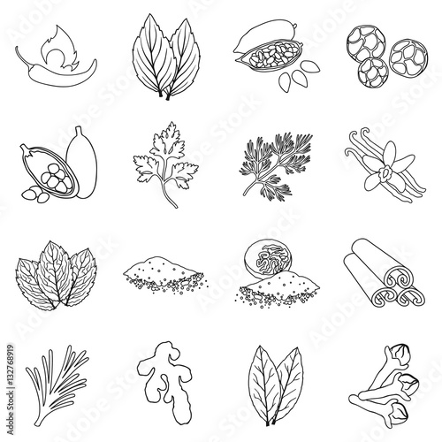 Herb and spices set icons in outline style. Big collection herb and spices vector symbol stock illustration