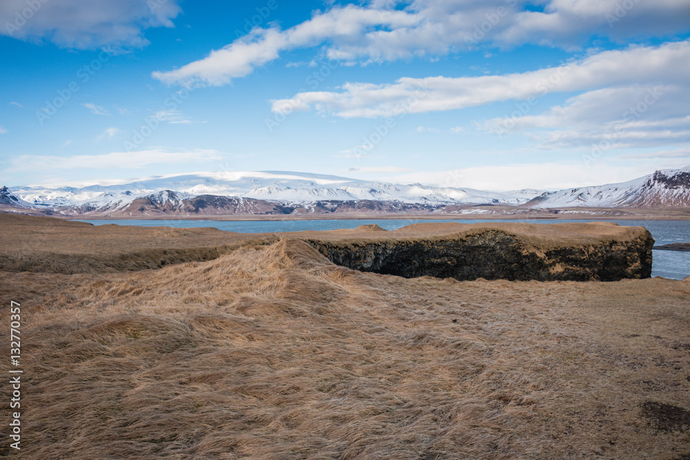 Iceland south coast landscape brown meadow in winter mountains with snow and blue sky