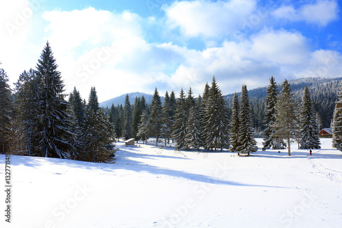 Mitrovac plateau at Tara mountain and national park, west Serbia