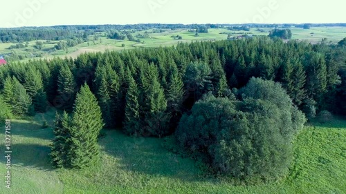 flying above green forest at summer time photo