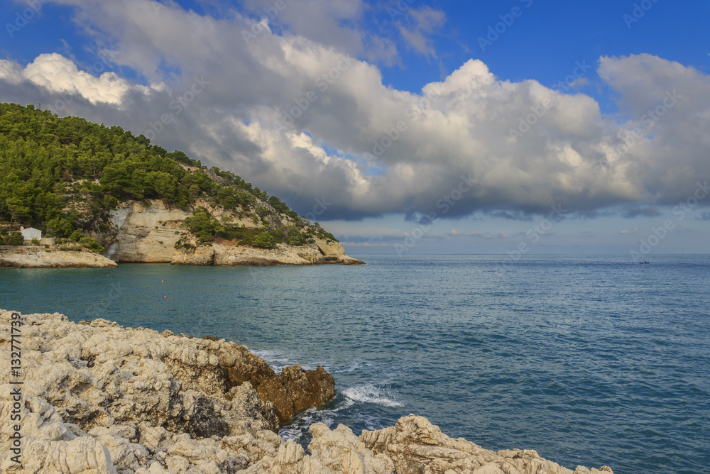  Apula coast,Gargano National Park: Pungnochiuso Bay. Vieste,Italy.The bay is bounded by marvellous hills covered with age-old pine trees.