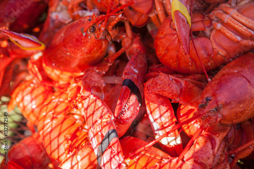 Freshly boiled lobsters. Food lobster festival
